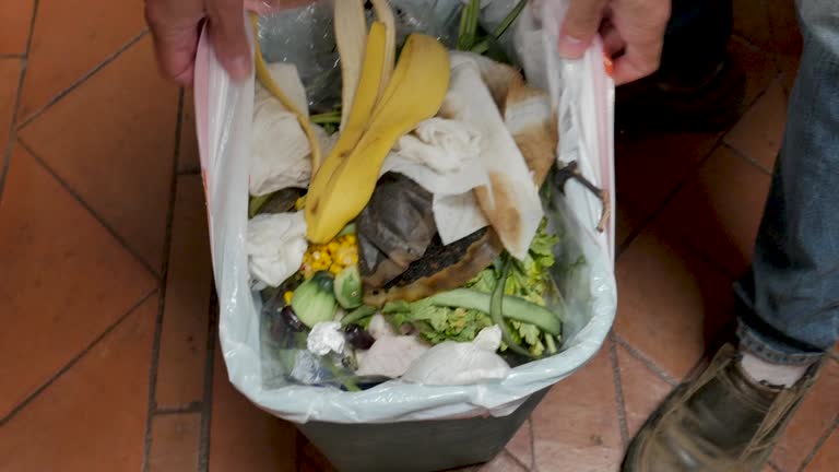 Best Garage Cleanout  in Rochester, WA